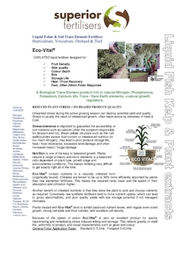 Eco Vital
