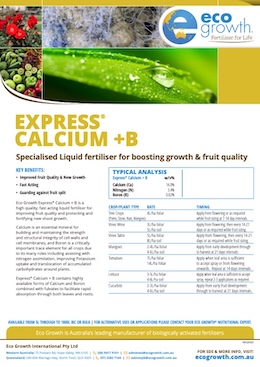 Express Calcium +B