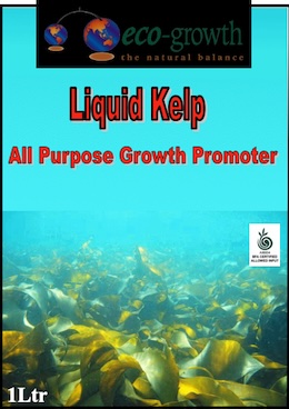 Liquid Kelp